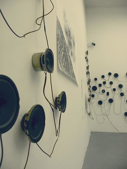 Luisa Roa, The Elephant&#039;s Journey, 2012, Sound and drawing installation, dimensions variable