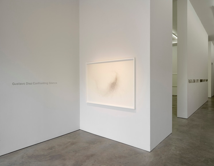 Installation view of Gustavo D&iacute;az: Confronting Silence at Sicardi | Ayers | Bacino, 2022.