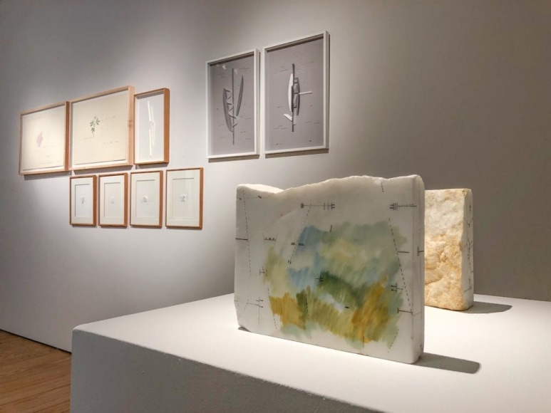 Maria Fernanda Cardoso + Marie Orensanz