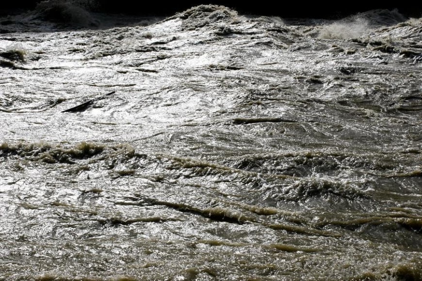 Clemencia Echeverri, Treno A, 2007. Silkscreen on stainless steel, 38 9/16 x 24 13/16 in.