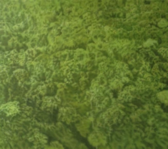 Melanie Smith, Fordlandia IV, 2013. Acrylic enamel on acrylic, 160 cm. x 140 cm.