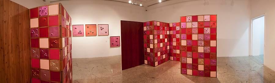 Ana Maria Tavares, Fachadas Insanas, 2013. From the series Condom&iacute;nios. Colored methacrylate, polystyrene, polyester mirrored, wood, metallic leather, and chromed steel. 32 sq. meters.