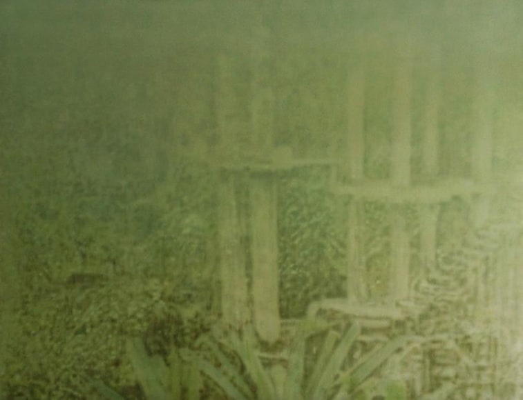 Melanie Smith, Selva V, 2013. Acrylic enamel on acrylic, 100 cm x 130 cm.