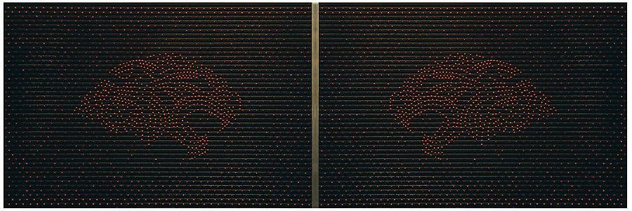 Miguel &Aacute;ngel Rojas, Parceros, 2007/2008. Peony seeds on rubber and aluminum, 23.6 in. x 35.4 in.