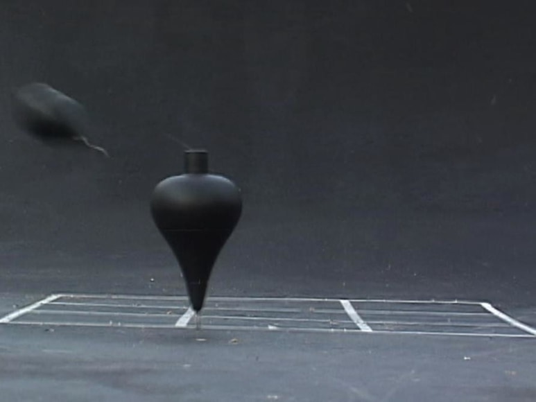 Miguel Angel R&iacute;os, A Matar (video still), 2004. One channel wall projection, 2:00 minutes. Edition of 5.