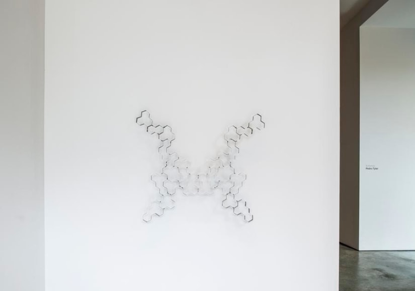 Pedro Tyler, Extensa, Installation view, 2015.