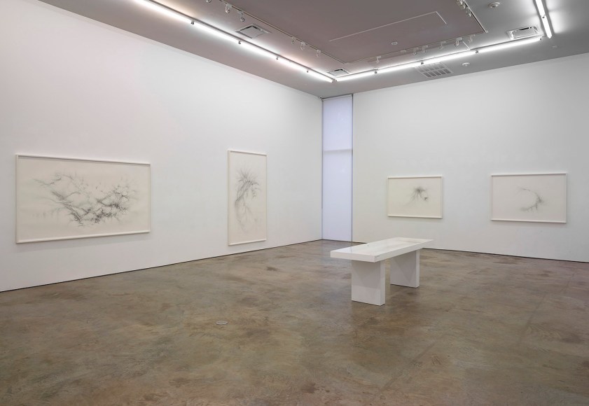 Installation view of Gustavo D&iacute;az: Confronting Silence at Sicardi | Ayers | Bacino, 2022.