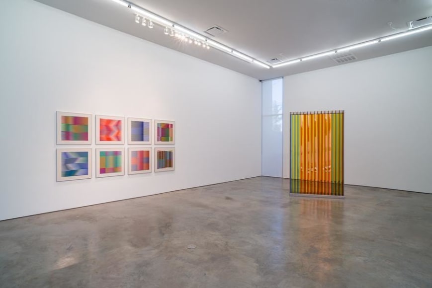 Carlos Cruz-Diez, A Chromatic Condition, Installation view, 2015.