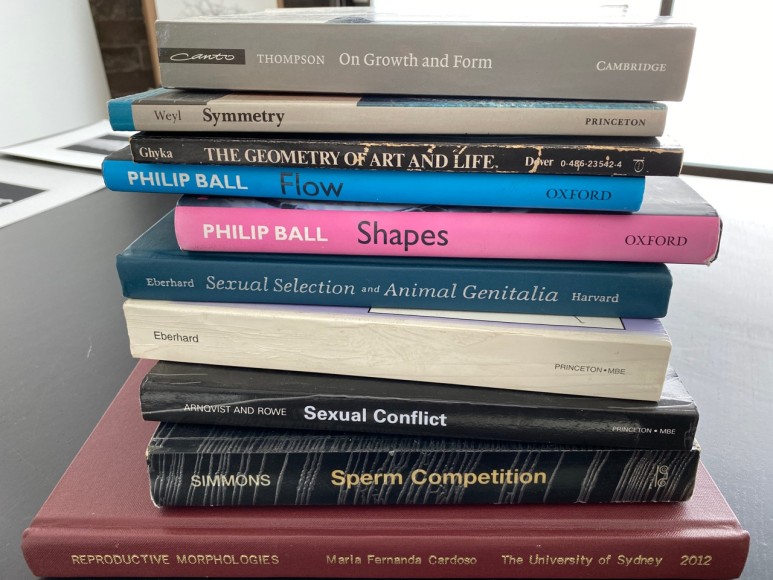 Maria Fernanda Cardoso, studio research.