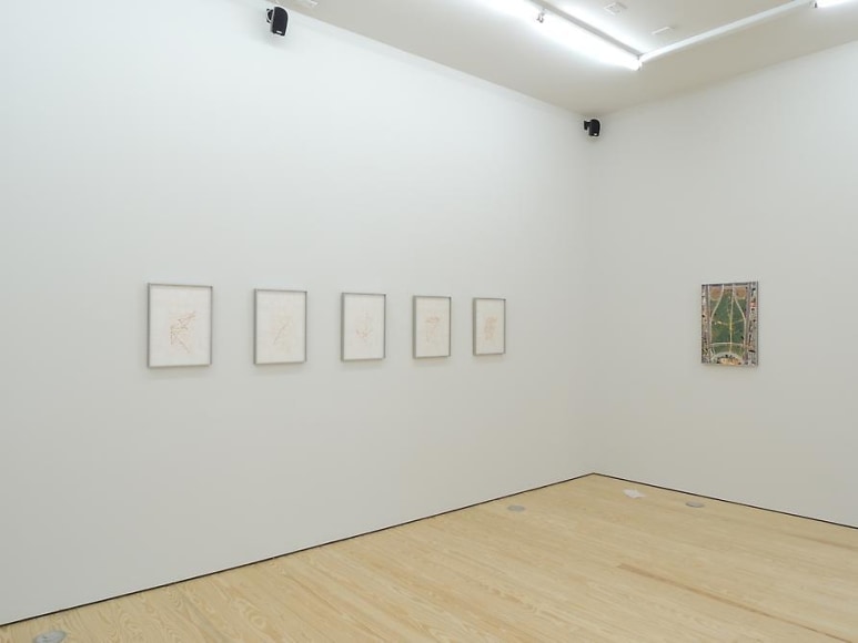 Clarissa Tossin, Study for a Landscape, Installation view, 2013.