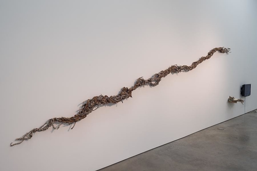 Miguel &Aacute;ngel Rojas &amp;amp; John Sparagana, El Cuerpo Sutil, Installation view, 2014.