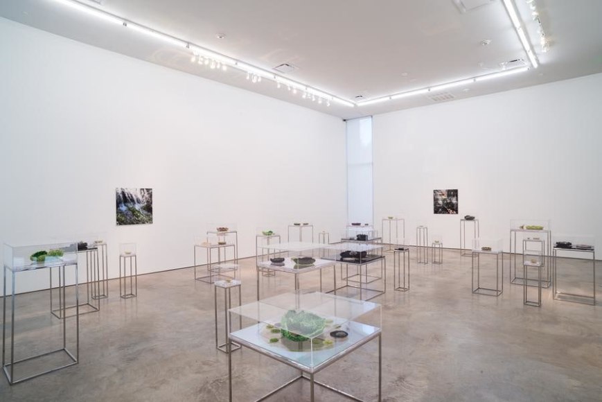 Ana Maria Tavares: Euryale Amazonica. Sicardi Gallery installation view. October 30 - December 20, 2014.