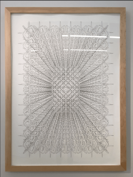 Exhibition, Pablo Siquier: Hostile, Installation view, 2016.