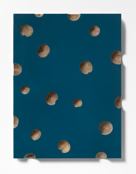 Thomas Glassford, Oscolum blue 18, 2019. Lacquer on MDF, gourds, 42 3/8 x 31 11/16 x 2 in. (107.6 x 80.5 x 5.1 cm.)