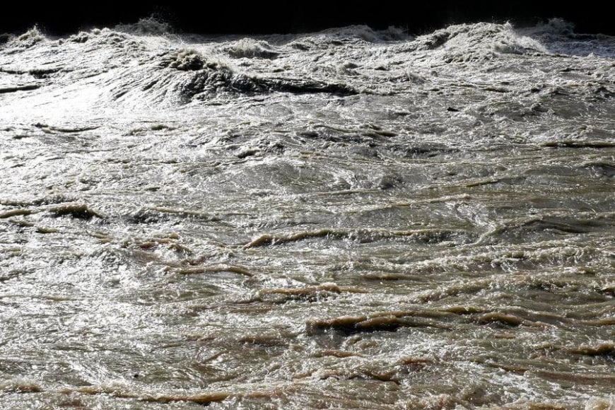 Clemencia Echeverri, Treno B, 2016. Silkscreen on stainless steel, 38 9/16 x 24 13/16 in.