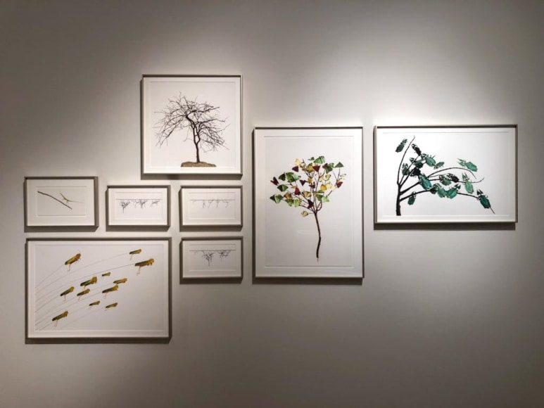 Maria Fernanda Cardoso + Marie Orensanz