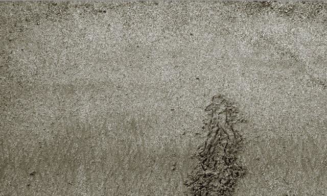 Oscar Mu&ntilde;oz, Hombre de arena / Sand Man, 2006-2009.