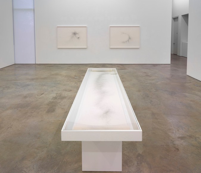 Installation view of Gustavo D&iacute;az: Confronting Silence at Sicardi | Ayers | Bacino, 2022.