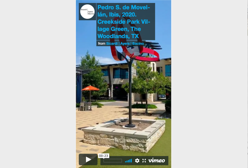 Pedro S. de Movell&aacute;n,&nbsp;Ibis, 2020. Creekside Park Village Green, The Woodlands, Texas.