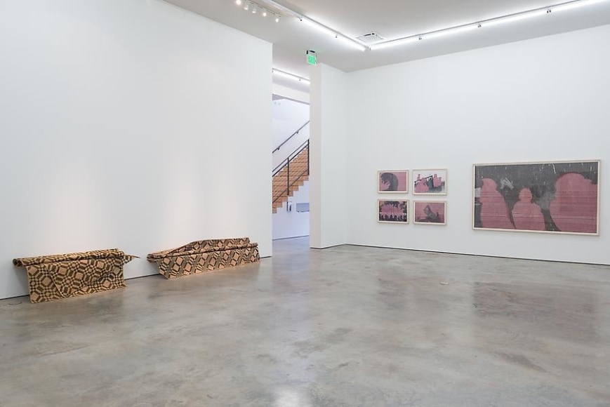 Miguel &Aacute;ngel Rojas &amp;amp; John Sparagana, El Cuerpo Sutil, Installation view, 2014.