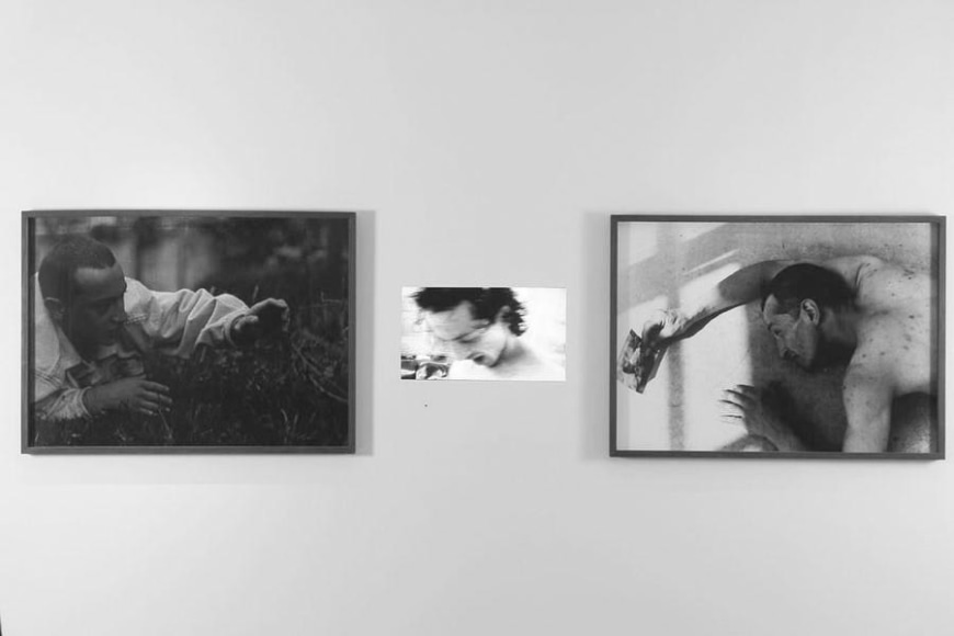 Miguel Angel Rojas. Mirando la flor Ed. 2/2, 1997-2007. Video and 2 Silver Gelatin prints. 31 7/8 x 44 in. (81 x 111.8 cm.) each. Video: 5:22 min