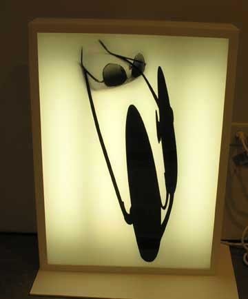 Regina Silveira, Installation view, 2005.