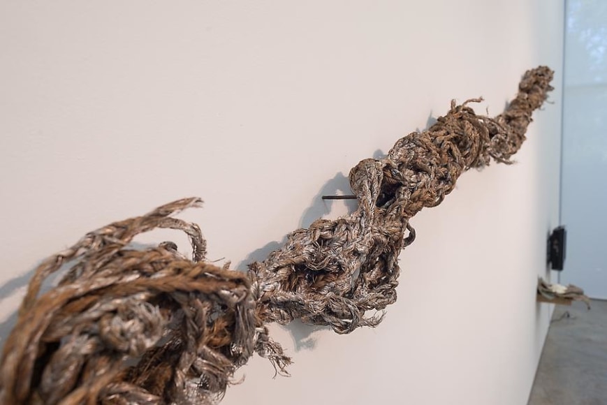 Miguel &Aacute;ngel Rojas &amp;amp; John Sparagana, El Cuerpo Sutil, Installation view, 2014.