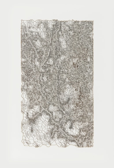 Gustavo D&iacute;az, De la serie: &ldquo;Variaciones sobre un bosque hipotetico previo a la Gran Bifurcacion. Modelo 008/ Era Prearbolitica&rdquo;, 2019. Cut out paper &amp;amp; pencil, 19 3/8 x 13 3/4 x 2 in. (49.2 x 34.9 x 5.1 cm.)