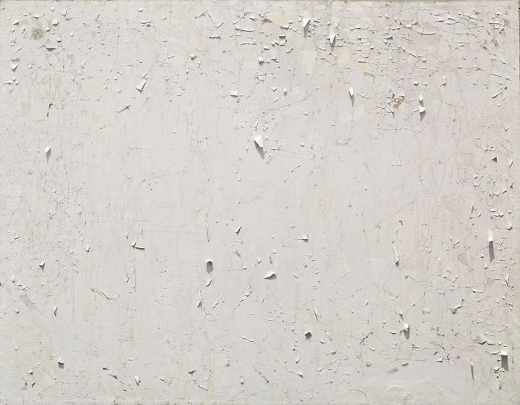 Gabriel de la Mora, Pomoma 36 II D, 2012, 1904 ceiling, detached, mounted on aluminum frame. 75 7/8&quot; 91 1/4 x 1 3/8.