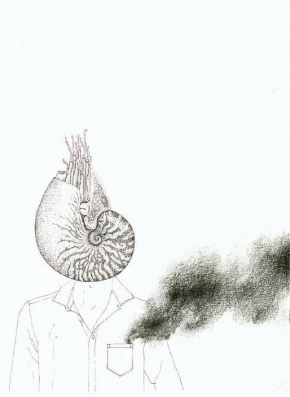 Teresa Currea, Hombre Nautilus, 2012, Pencil and ink on paper, 12.5 x 16.5cm
