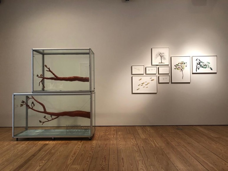 Maria Fernanda Cardoso + Marie Orensanz