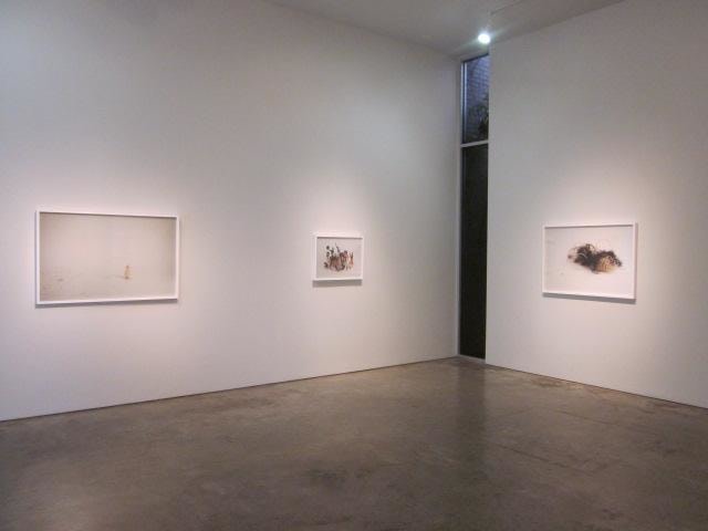 Liliana Porter, Fragment of the Cast, Installation view, 2012.