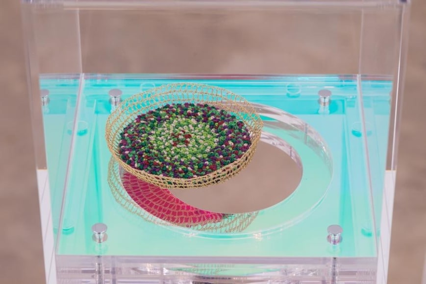 Ana Maria Tavares, Euryale Amazonica, Installation view, 2014.