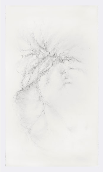 Gustavo D&iacute;az, From the series: Imaginary Flight Patterns I, 2021. Graphite on paper, 95 x 56 &frac14; x 2 &frac14; in. (241.3 x 142.7 x 5.7 cm.)