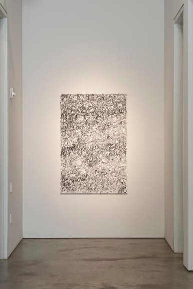 Le&oacute;n Ferrari, To Write, Installation view, 2015.