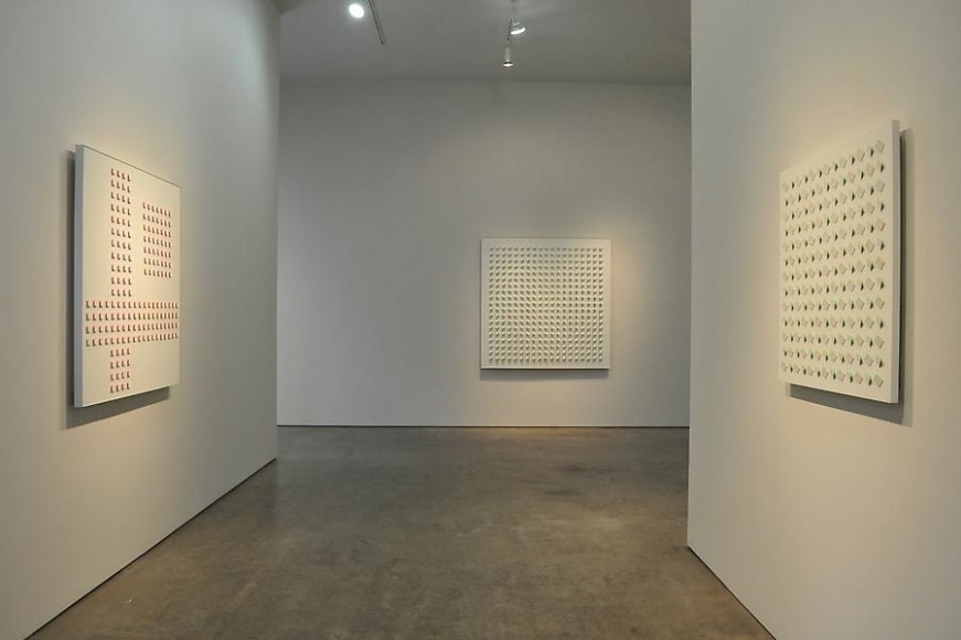 Luis Tomasello, Sicardi Gallery installation view, 2011