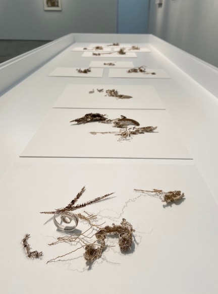 Installation view of&nbsp;Gustavo Diaz&#039;s&nbsp;2020&nbsp;exhibition&nbsp;Incompleteness: The Poetics of the Intangible&nbsp;at Sicardi | Ayers | Bacino.