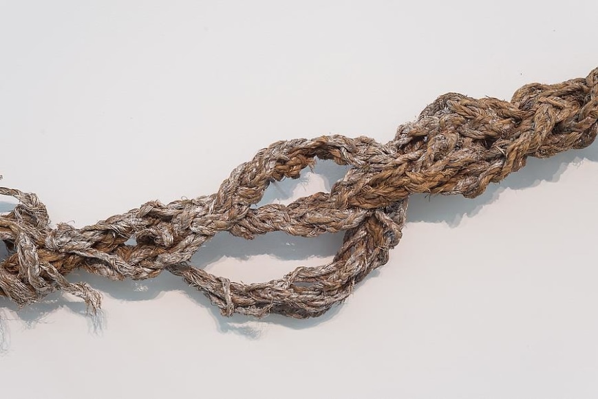 Miguel &Aacute;ngel Rojas &amp;amp; John Sparagana, El Cuerpo Sutil, Installation view, 2014.