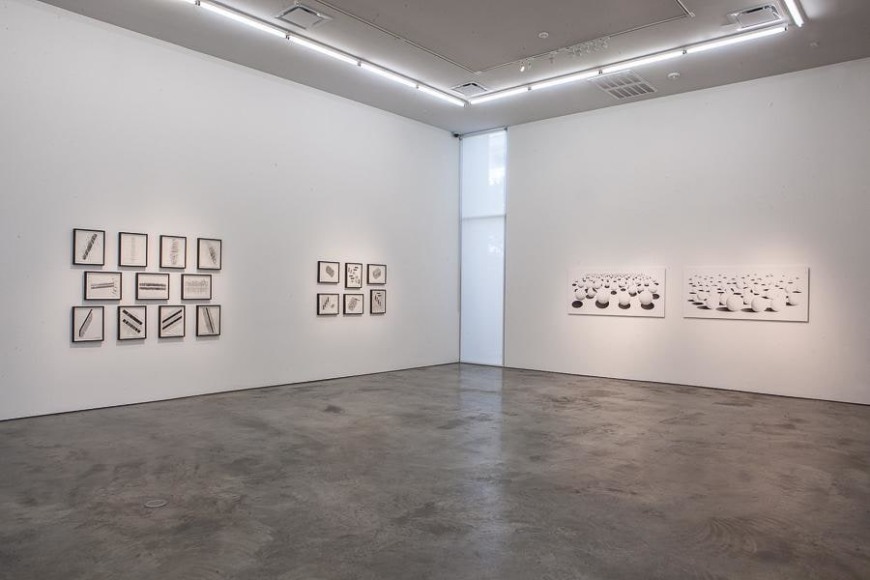 Miguel Angel R&iacute;os, Endless, Installation view, 2015.