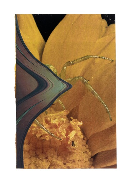 Melanie Smith. Collage 10, 2022. Collage. 12 &frac34; x 9 in.