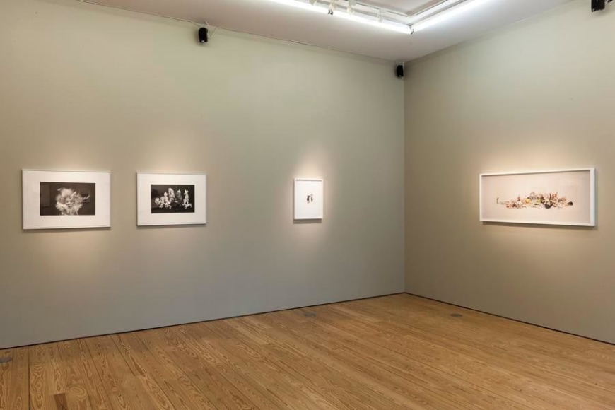 Liliana Porter. The Order of Things and Other Works. Sicardi Gallery, 2017