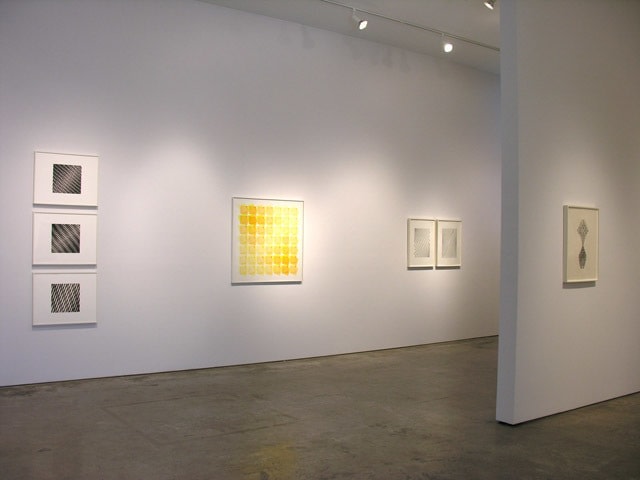 Manuel Espinosa, Sicardi Gallery installation view, 2010