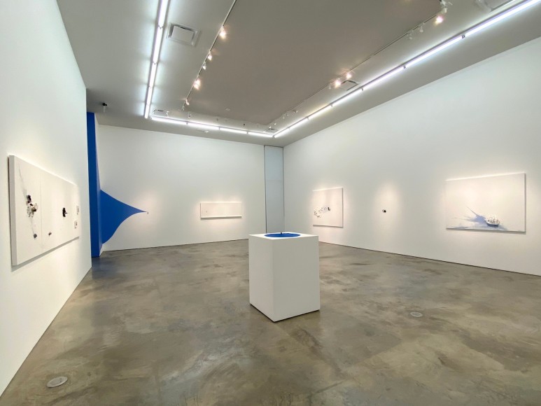 Liliana Porter: Red Brush and Other Situations.