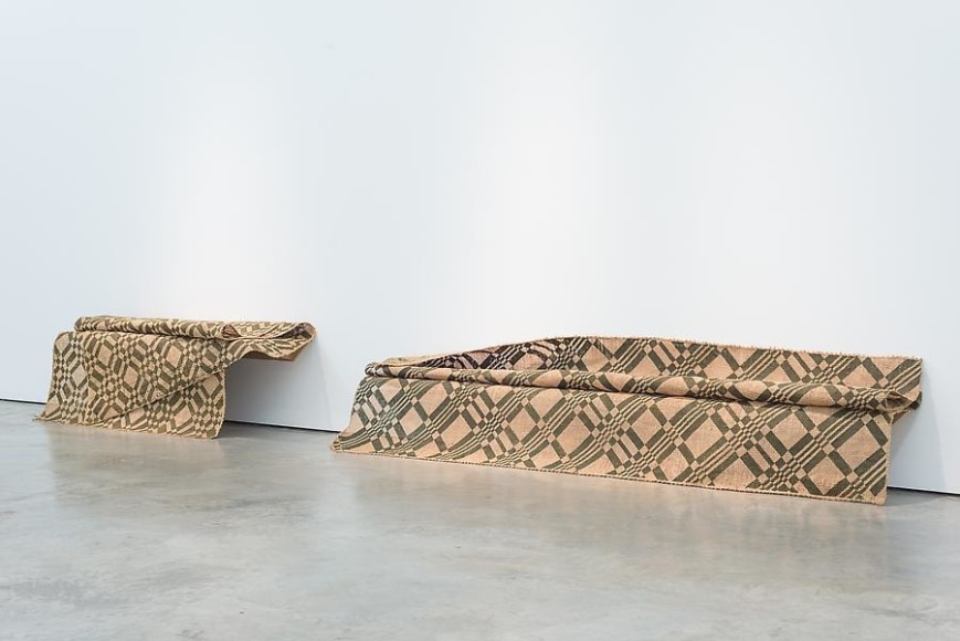 Miguel &Aacute;ngel Rojas &amp;amp; John Sparagana, El Cuerpo Sutil, Installation view, 2014.