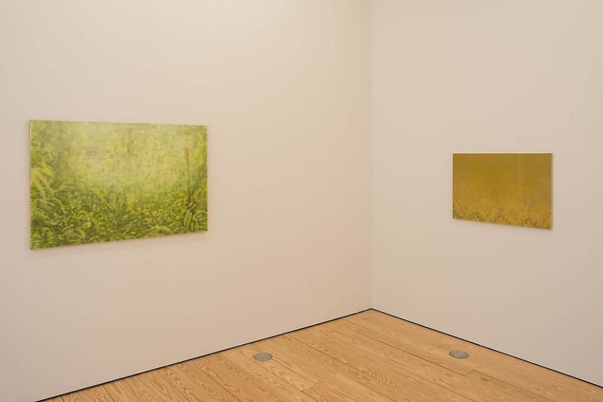 Melanie Smith, Green is the Colour, Installation view, 2014.