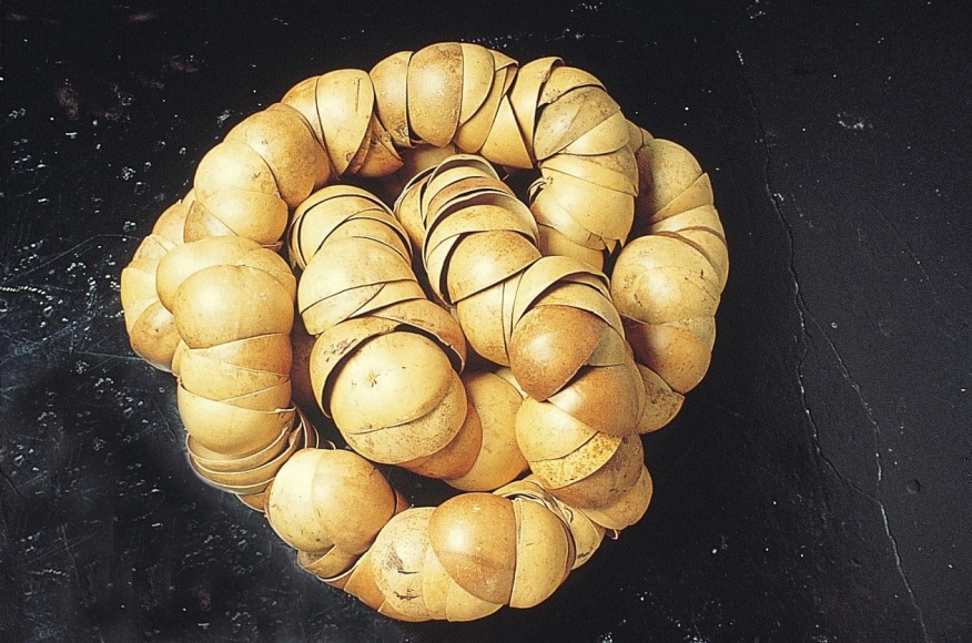 María Fernanda Cardoso, Espiral de Totumas / Half gourd spiral, 1992. Half gourds and metal, 15 3/4 x 35 3/8 x 35 3/8 in. Variable Dimensions.