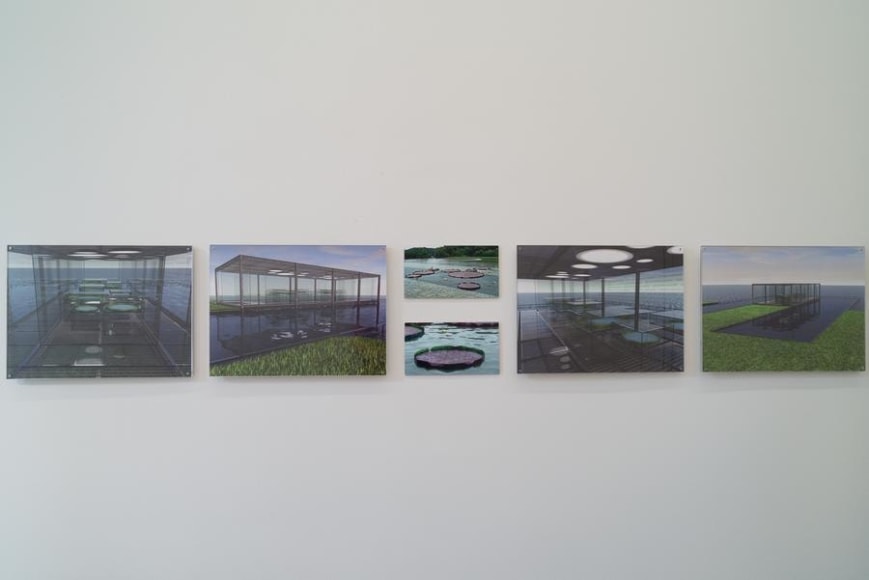 Ana Maria Tavares, Euryale Amazonica, Installation view, 2014.