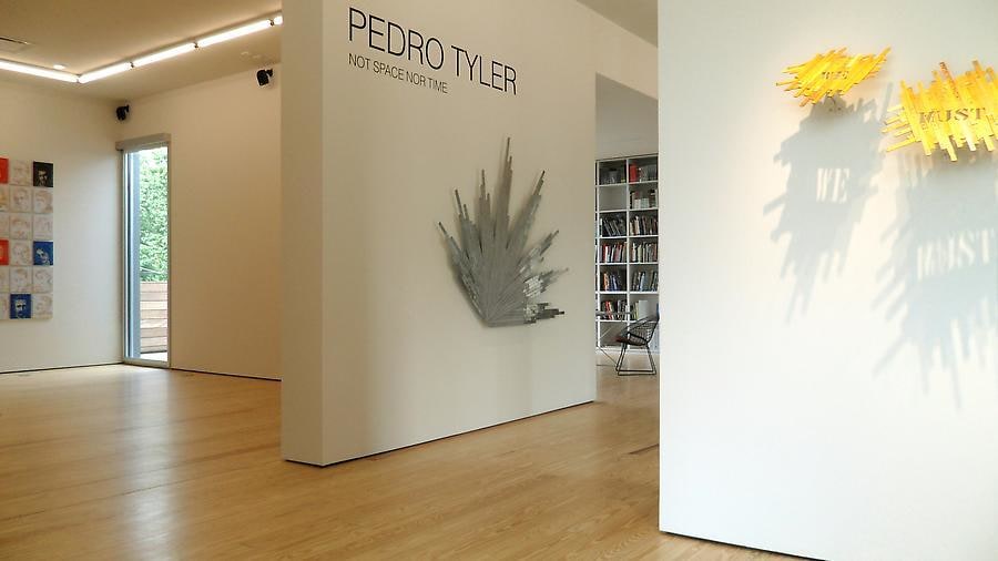 Pedro Tyler, Not Space Nor Time, Installation view, 2012.