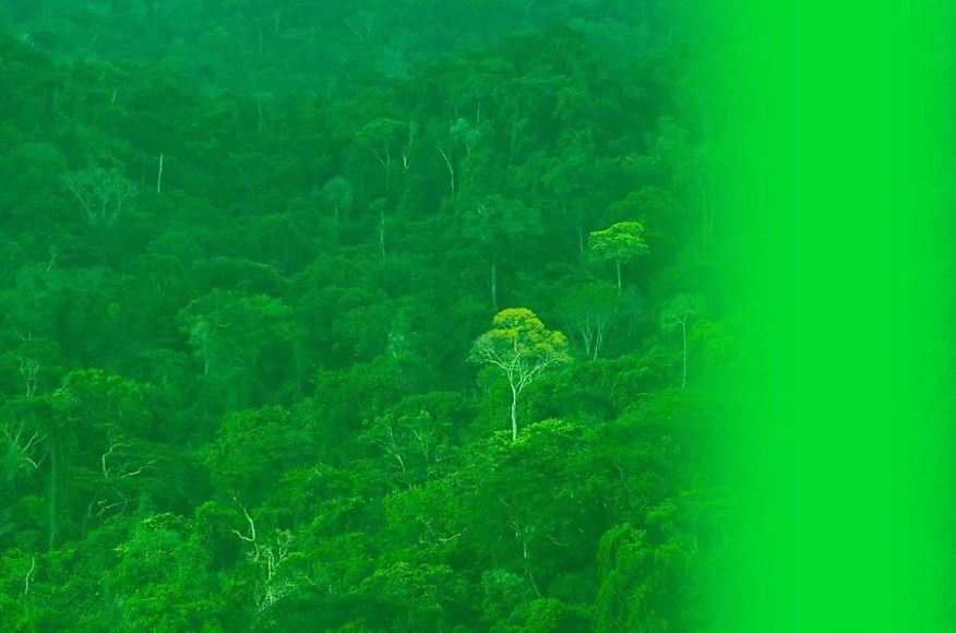 Melanie Smith, Video still from The Colour Green, 2014. HD video, 2:26 minutes.