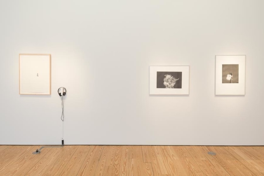 Liliana Porter, To See Gold and other prints, Installation view, 2015.